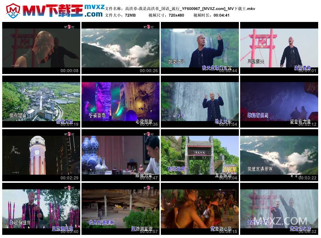 高洪章-我是高洪章_国语_流行_YF600967